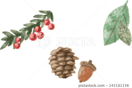 秋季堅果和樹葉的全彩插圖,手繪風格(橡實、松果、紅色漿果和其他材料) 秋季堅果和樹葉的全彩插圖,手繪風格(橡實、松果、紅色漿果和其他材料) 143181156