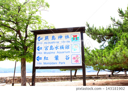 Miyajima, Itsukushima Shrine, Aki, Hiroshima, JR West Miyajima Ferry, Miyajima townscape, Itsukushima Shrine Great Torii Gate, Hiroshima Bay, Seto Inland Sea Miyajima, Itsukushima Shrine, Aki, Hiroshima, JR West Miyajima Ferry, Miyajima townscape, Itsukushima Shrine Great Torii Gate, Hiroshima Bay, Seto Inland Sea 143181902