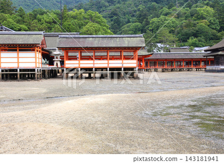 Miyajima, Itsukushima Shrine, Aki, Hiroshima, JR West Miyajima Ferry, Miyajima townscape, Itsukushima Shrine Great Torii Gate, Hiroshima Bay, Seto Inland Sea Miyajima, Itsukushima Shrine, Aki, Hiroshima, JR West Miyajima Ferry, Miyajima townscape, Itsukushima Shrine Great Torii Gate, Hiroshima Bay, Seto Inland Sea 143181941