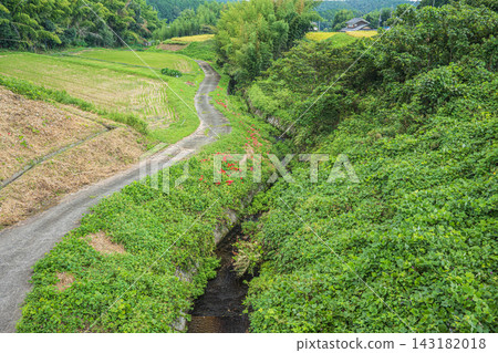 A mountain stream flowing between terraced rice fields, Ikadachi, Otsu City, Shiga Prefecture A mountain stream flowing between terraced rice fields, Ikadachi, Otsu City, Shiga Prefecture 143182018