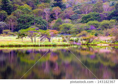 Quiet Kakumanbuchi Quiet Kakumanbuchi 143182367