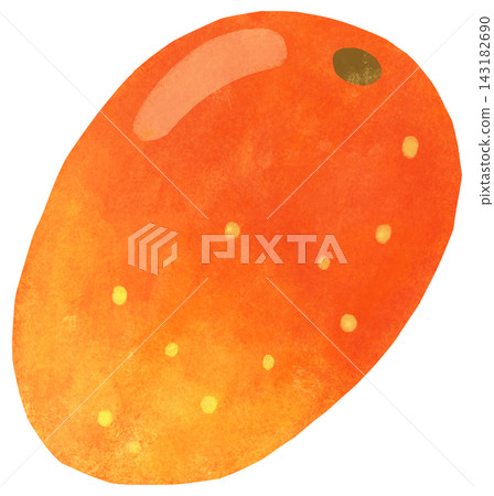 A simple and cute mango illustration A simple and cute mango illustration 143182690