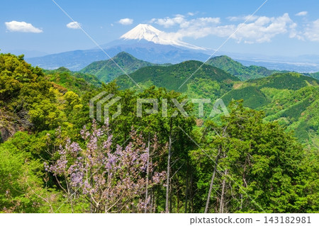 從靜岡縣伊豆之國市葛城山眺望春天的富士山。 從靜岡縣伊豆之國市葛城山眺望春天的富士山。 143182981