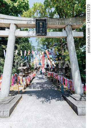 【愛知縣東海市】熊野神社鯉魚旗祭現場 【愛知縣東海市】熊野神社鯉魚旗祭現場 143183270