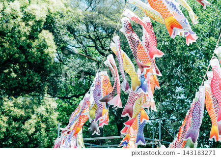 綠色和鯉魚彩帶的畫面 143183271