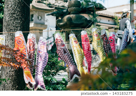 鯉魚旗圖像 鯉魚旗圖像 143183275