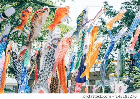 鯉魚旗在風中飄揚的景象 143183276