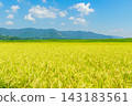 A rural landscape unfolds against the backdrop of a clear autumn sky and mountains, before the harvest. 143183561