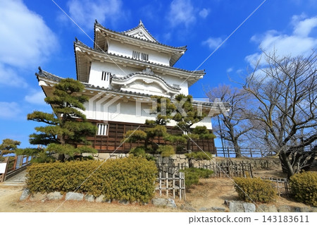 [香川縣] 冬天的丸龜城（現存天守閣和石牆名城） 143183611