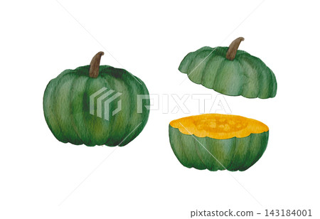 水彩畫,南瓜剪影,橫切面插圖 水彩畫,南瓜剪影,橫切面插圖 143184001