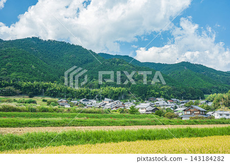 滋賀縣大津市琵琶湖西岸風景名勝區伊卡達奇梯田 滋賀縣大津市琵琶湖西岸風景名勝區伊卡達奇梯田 143184282