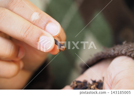 Person holding clove spice in hand while sitting outdoors Person holding clove spice in hand while sitting outdoors 143185005