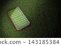Mobile phone on green grass with American football field layout on screen,3d rendering 143185384