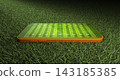 Mobile phone on green grass with American football field layout on screen,3d rendering 143185385