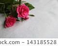 Pink rose flower 143185528