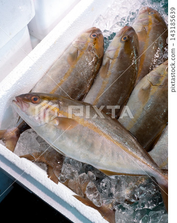 阿達奇市場擺滿了新鮮的琥珀魚。 阿達奇市場擺滿了新鮮的琥珀魚。 143185639