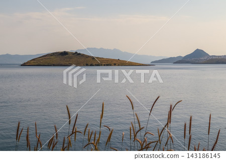 Calm sea surrounding a small island with distant mountains and a coastal town, golden grass spikes in the foreground 143186145