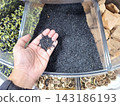 Hand reaching into bulk display container holding portion of healthy black sesame seeds for food market culinary ingredient and organic cooking preparation. 143186193