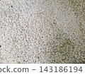 Close-up shot shows a clean, healthy pile of white sesame seeds, ideal for cooking, baking, and as nutritious snack ingredient. 143186194