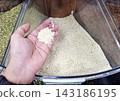 Person's hand holds handful of white sesame seeds, displaying them above bulk container, highlighting fresh product for sale. 143186195