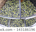 Vibrant blue and green dried butterfly pea flowers in large display containers, perfect for herbal tea and natural food coloring. 143186196