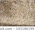 Dried whole coriander seeds fill frame offering texture for cooking culinary backgrounds or food preparation projects featuring natural organic spices. 143186199