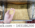 Hand holding pile of raw coriander seeds in front of full storage container showcasing bulk spice selection for culinary usage in grocery market store. 143186200