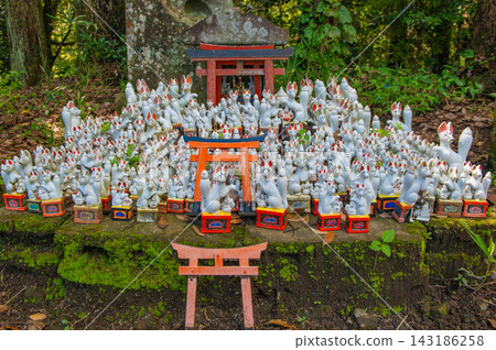 Ogimori Inari神社 143186258