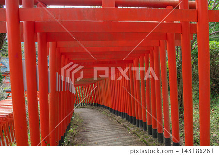 Torii gate of Ogimori Inari Shrine Torii gate of Ogimori Inari Shrine 143186261