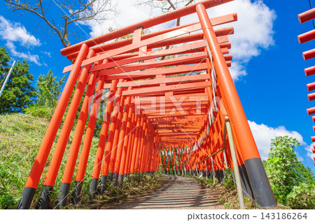 小木森稻荷神社的鳥居 143186264