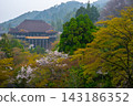 The main hall of Kiyomizu-dera Temple and cherry blossoms in the early morning. 143186352