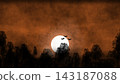Warm orange night scene with a bright full moon, layered forest silhouettes, flying bats, and a textured atmospheric sky. Warm orange night scene with a bright full moon, layered forest silhouettes, flying bats, and a textured atmospheric sky. 143187088