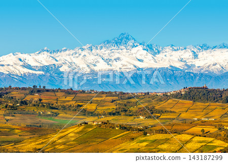 The snow-capped Alps and Monviso peak rise behind the rolling hills with autumnal vineyards in Italy The snow-capped Alps and Monviso peak rise behind the rolling hills with autumnal vineyards in Italy 143187299