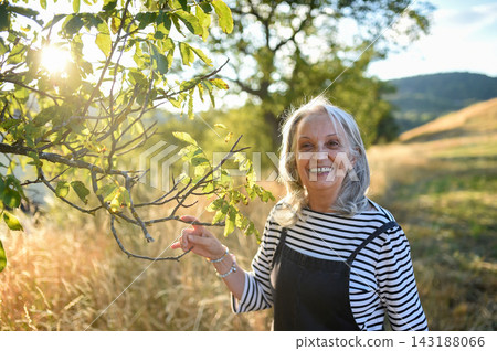 Senior woman enjoying gentle outdoor activity and connection with nature. Senior woman enjoying gentle outdoor activity and connection with nature. 143188066