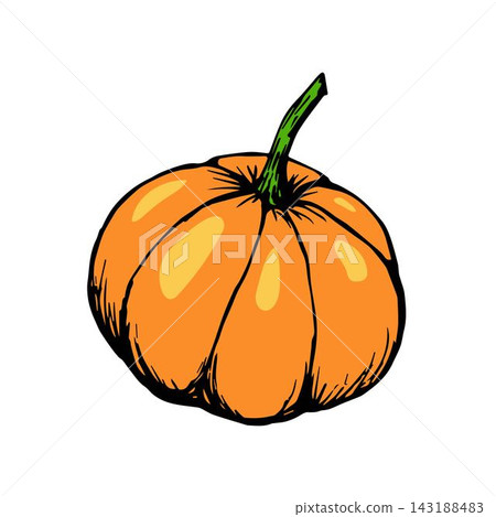 Hand-drawn color vector illustration. Orange pumpkin isolated on white background. For seasonal design, autumn harvest, farm vegetables. Hand-drawn color vector illustration. Orange pumpkin isolated on white background. For seasonal design, autumn harvest, farm vegetables. 143188483