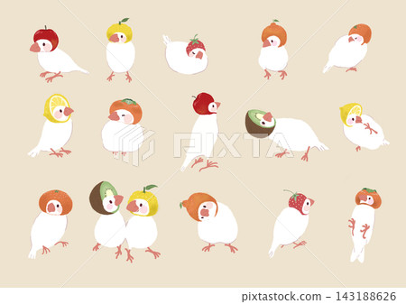 A set of illustrations of white Java sparrows wearing December fruit-themed head coverings, with outlines. A set of illustrations of white Java sparrows wearing December fruit-themed head coverings, with outlines. 143188626