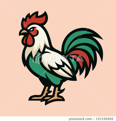Aggressive Rooster Cock Fighting Bird Vector Illustration 143188908