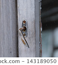 Close-up shot of a old rusted metal handle on a weathered gray wooden window frame. 143189050