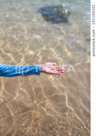 Child's hand holding food for sea turtles in clear tropical water Child's hand holding food for sea turtles in clear tropical water 143189382