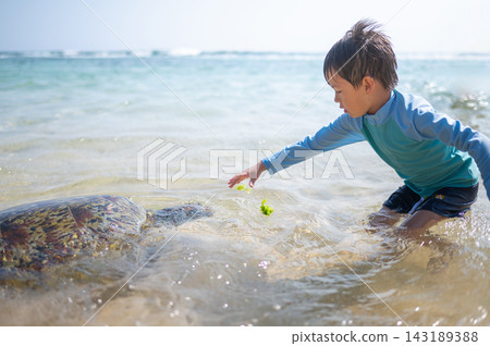 Curious boy feeding a sea turtle in shallow water on Sri Lanka's coast Curious boy feeding a sea turtle in shallow water on Sri Lanka's coast 143189388