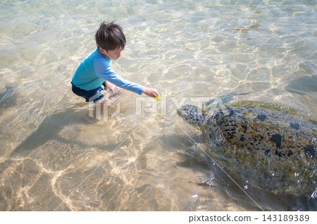 Clear water beach scene with child interacting with sea turtle in Sri Lanka Clear water beach scene with child interacting with sea turtle in Sri Lanka 143189389