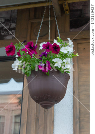 a serene outdoor scene featuring a suspended hanging flower pot with chains, set against a rustic wooden structure. The calm and decorative setting is enhanced by the presence of brown andC. a serene outdoor scene featuring a suspended hanging flower pot with chains, set against a rustic wooden structure. The calm and decorative setting is enhanced by the presence of brown andC. 143189427