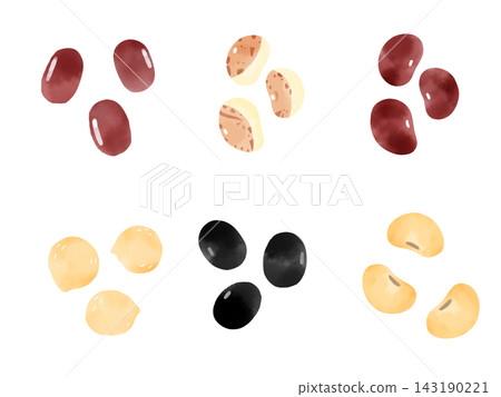 Bean set: Soybeans, black beans, chickpeas, adzuki beans, kidney beans, etc., with hand-drawn watercolor-style illustrations. 143190221