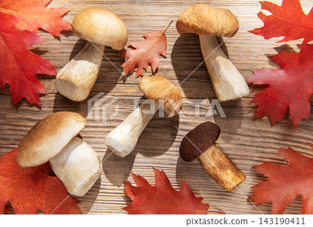 Porcini mushrooms with red autumn leaves on wooden table Porcini mushrooms with red autumn leaves on wooden table 143190411