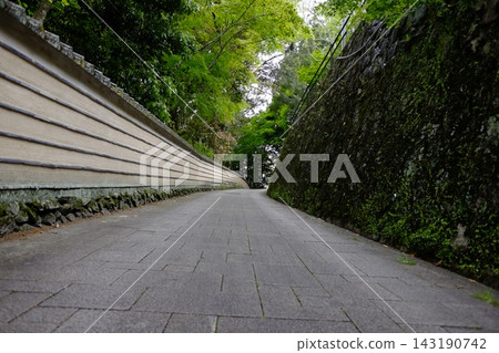 Walking along a cobblestone path surrounded by a wall Walking along a cobblestone path surrounded by a wall 143190742