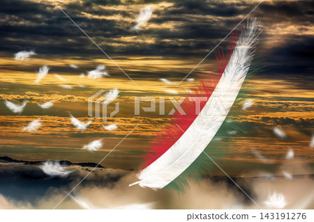 3D Flag on feathers 143191276