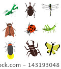 A set of realistic and cute insect illustrations 143193048