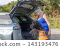 Woman is helping her dog jump into the trunk of a car. 143193476