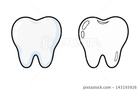 Healthy tooth color and outline versions 143193926