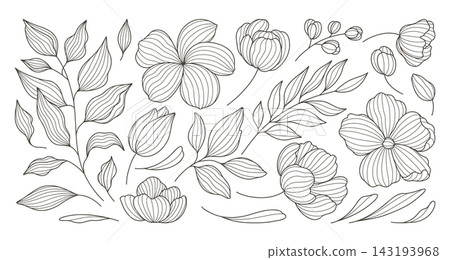 Hand drawn botanical flower and leaf set with elegant floral line art elements Hand drawn botanical flower and leaf set with elegant floral line art elements 143193968